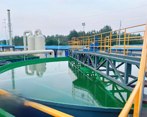 1774854222643744.jpg 未标题-2.jpg